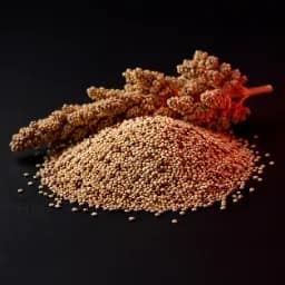 Quinoa included in the GYM HIGH Mass Gainer formula