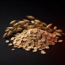 Rolled oats used in the GYM HIGH Mass Gainer carbohydrate blend